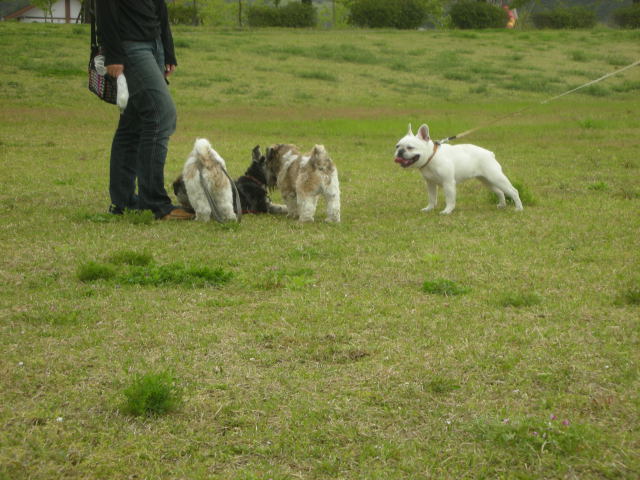 �{�X�Ɩ����Ȓ��ԒB