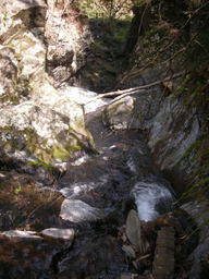 �{�X�Ɩ����Ȓ��ԒB