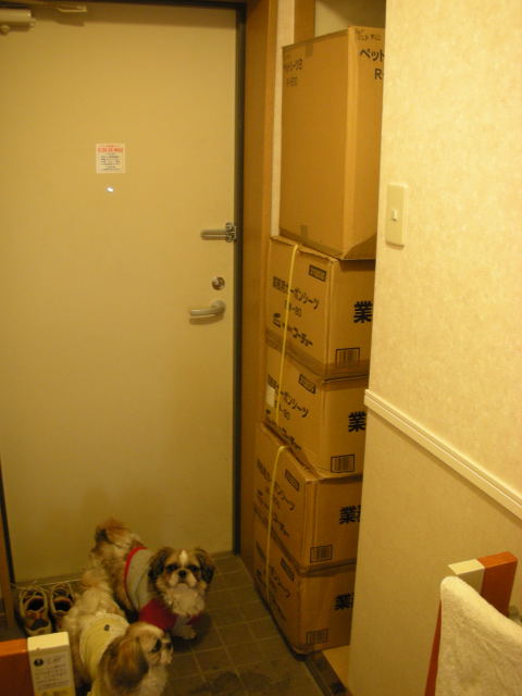 �{�X�Ɩ����Ȓ��ԒB