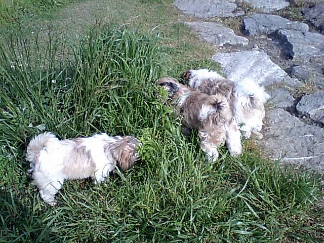 �{�X�Ɩ����Ȓ��ԒB