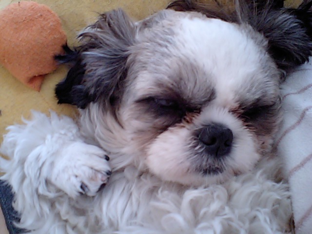 �{�X�Ɩ����Ȓ��ԒB