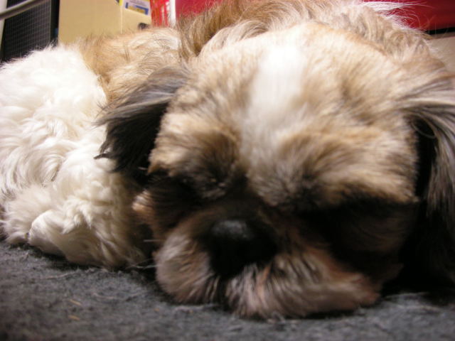 �{�X�Ɩ����Ȓ��ԒB