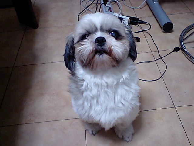 �{�X�Ɩ����Ȓ��ԒB