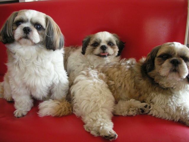 �{�X�Ɩ����Ȓ��ԒB