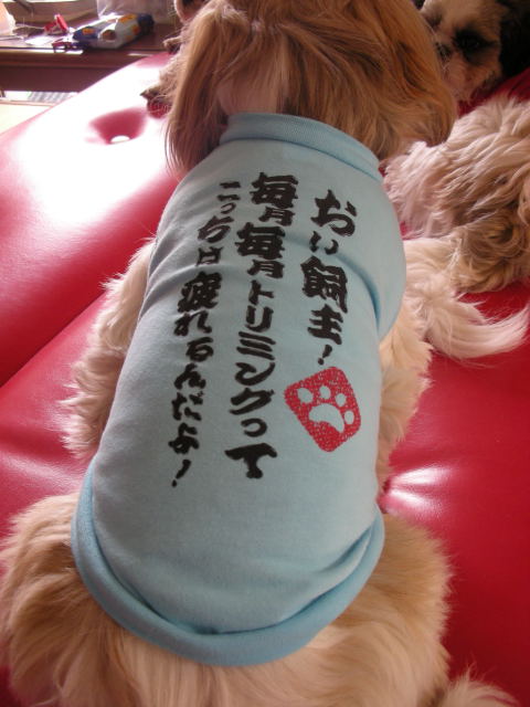 �{�X�Ɩ����Ȓ��ԒB