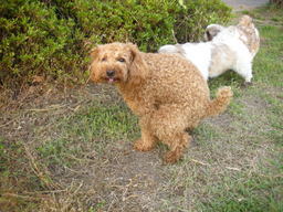 �{�X�Ɩ����Ȓ��ԒB