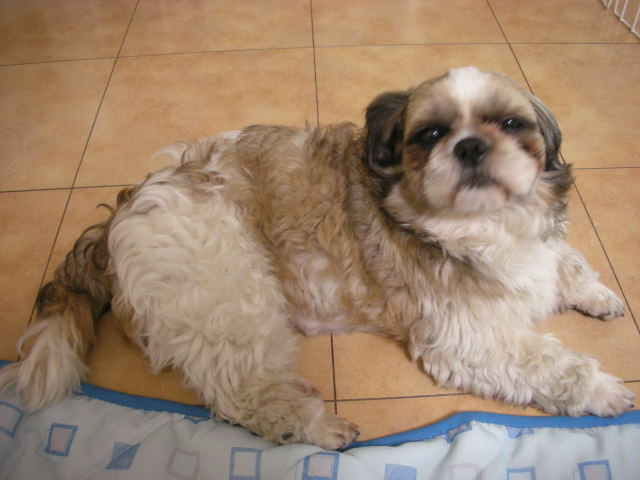 �{�X�Ɩ����Ȓ��ԒB