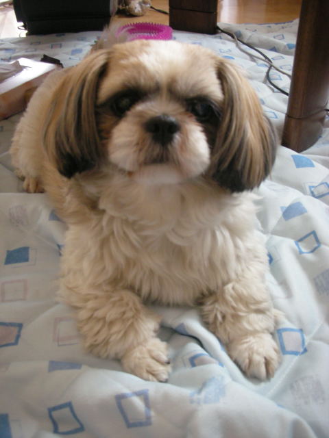 �{�X�Ɩ����Ȓ��ԒB