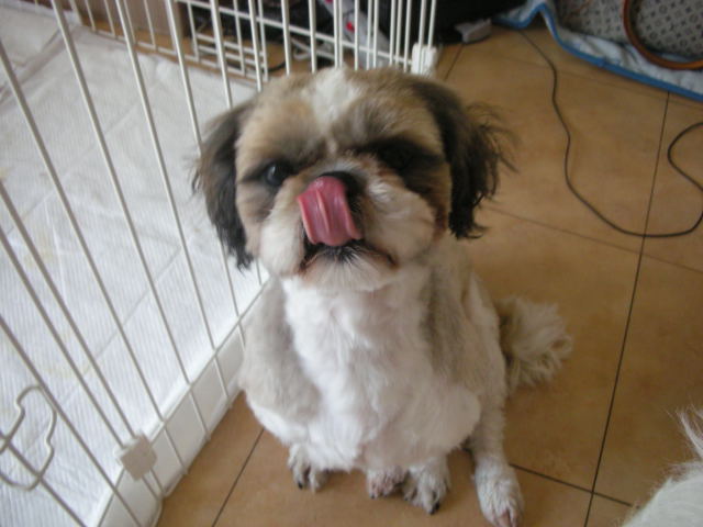 �{�X�Ɩ����Ȓ��ԒB