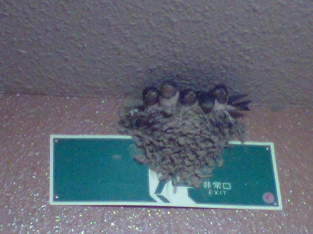 �{�X�Ɩ����Ȓ��ԒB