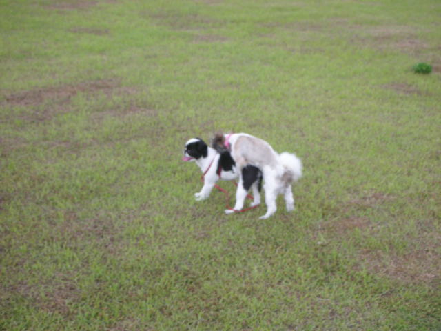 �{�X�Ɩ����Ȓ��ԒB