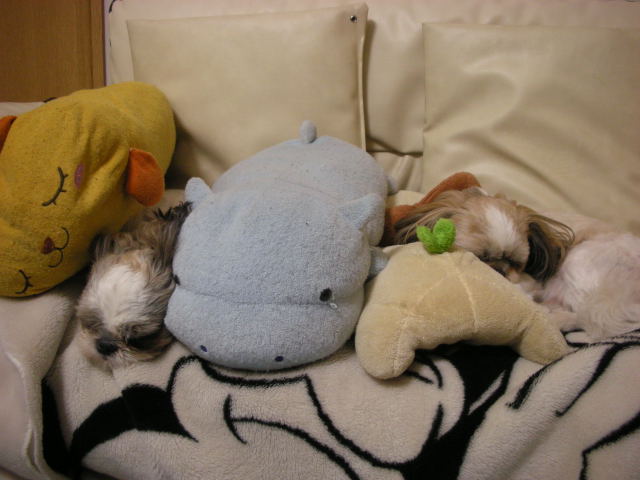 �{�X�Ɩ����Ȓ��ԒB