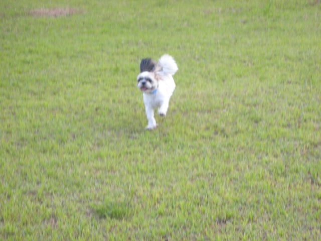 �{�X�Ɩ����Ȓ��ԒB