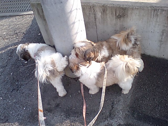 �{�X�Ɩ����Ȓ��ԒB