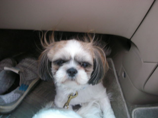 �{�X�Ɩ����Ȓ��ԒB