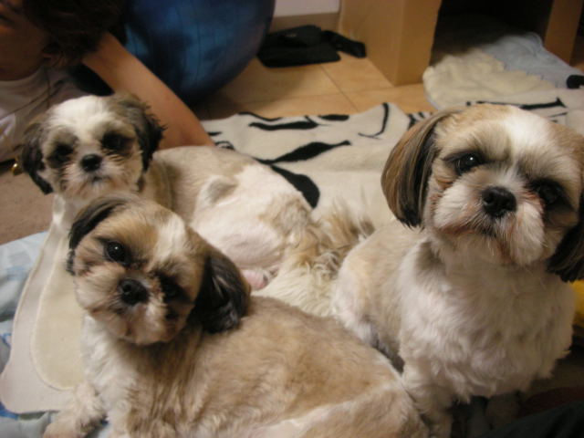 �{�X�Ɩ����Ȓ��ԒB