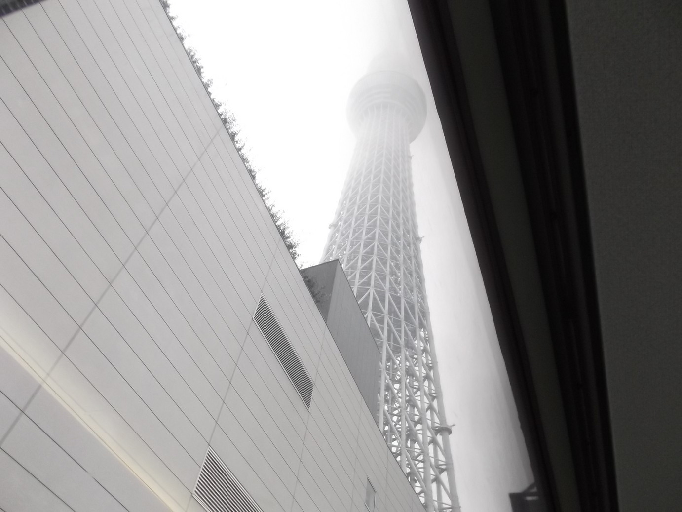 �A�g���d��@�Ȗ؉w�O�X