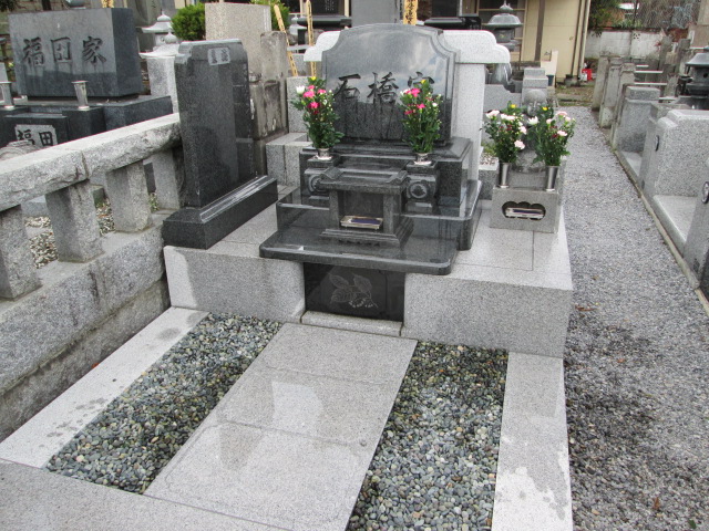 �A�g���d��@�Ȗ؉w�O�X