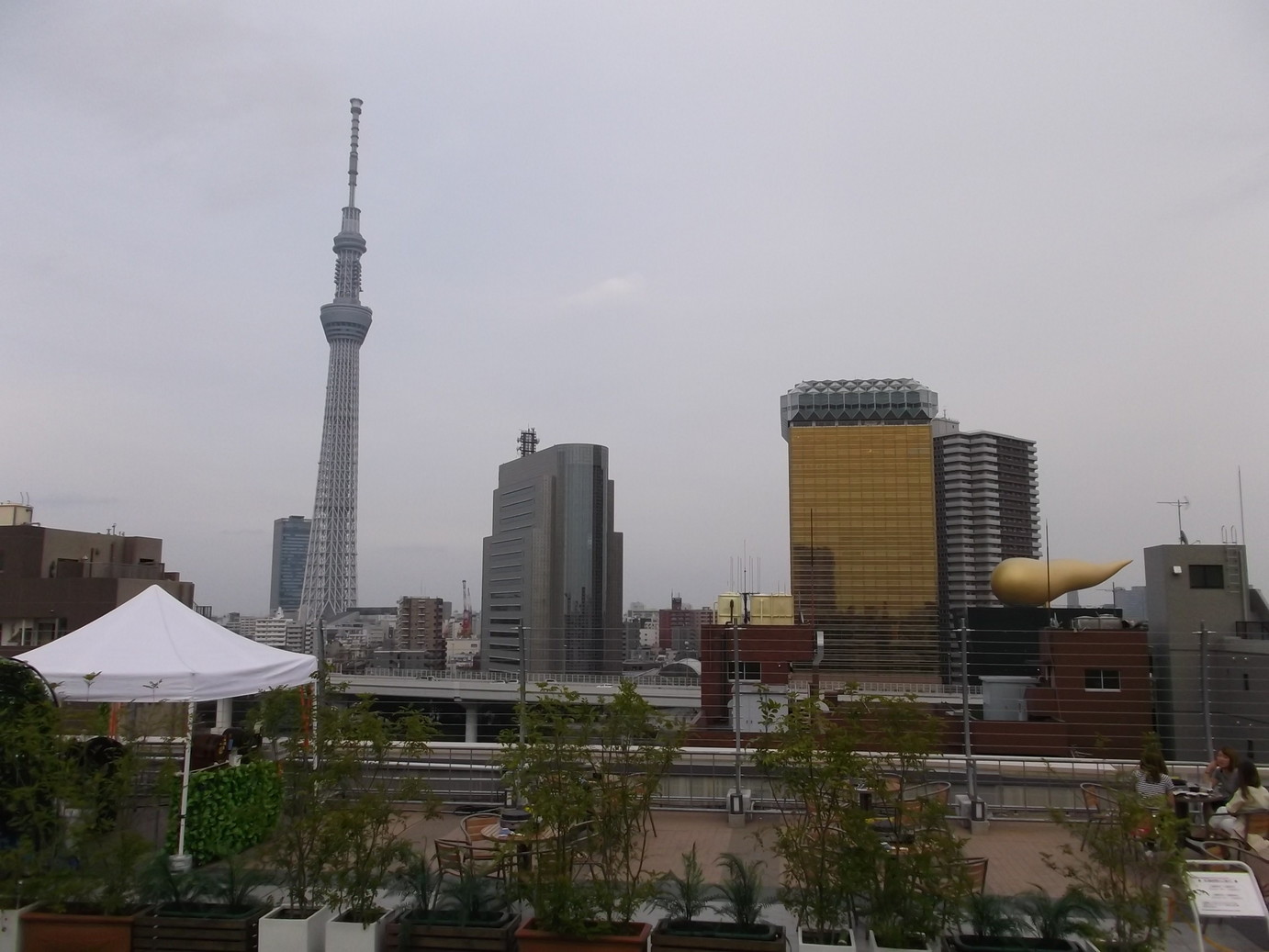 �A�g���d��@�Ȗ؉w�O�X