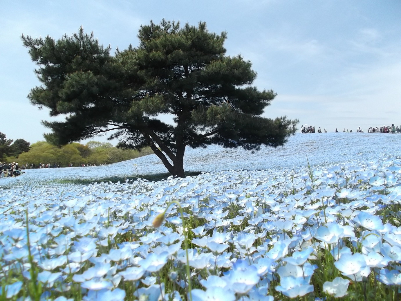 �A�g���d��@�Ȗ؉w�O�X