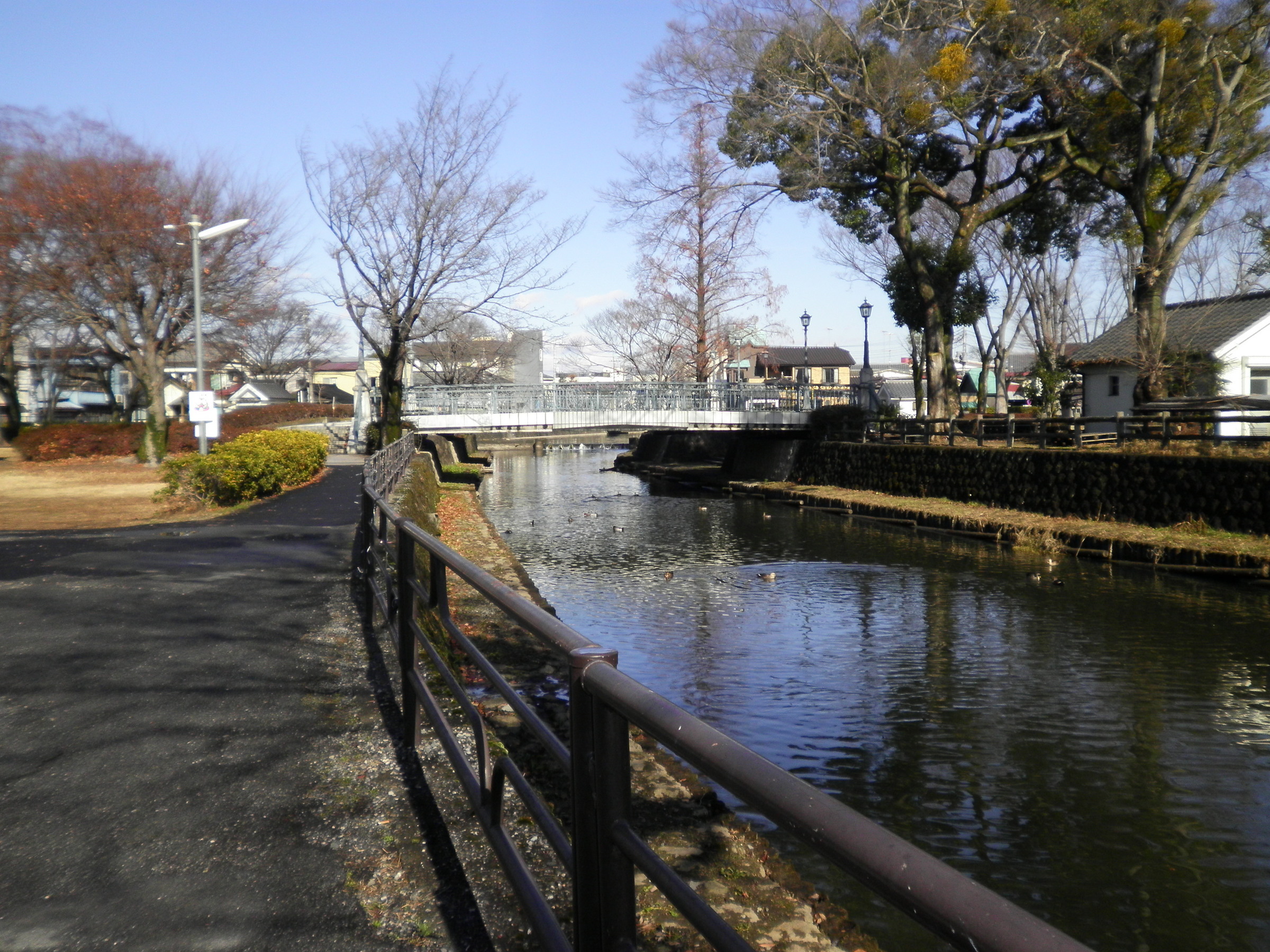 �A�g���d��@�Ȗ؉w�O�X