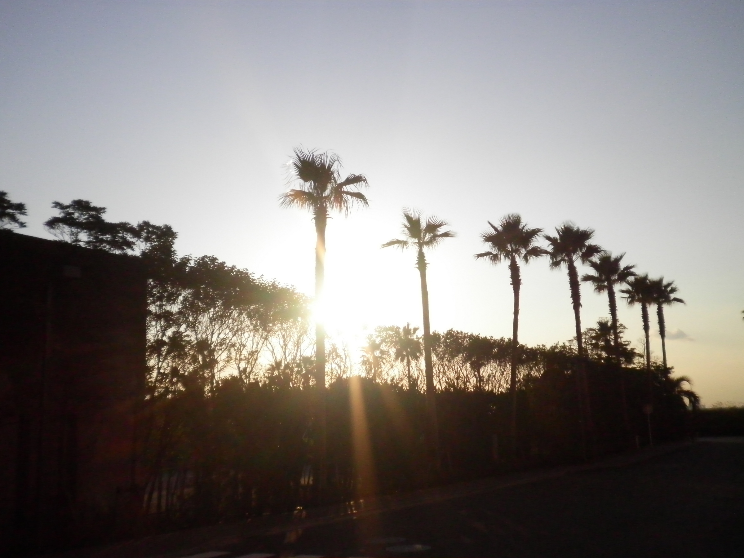 �A�g���d��@�Ȗ؉w�O�X