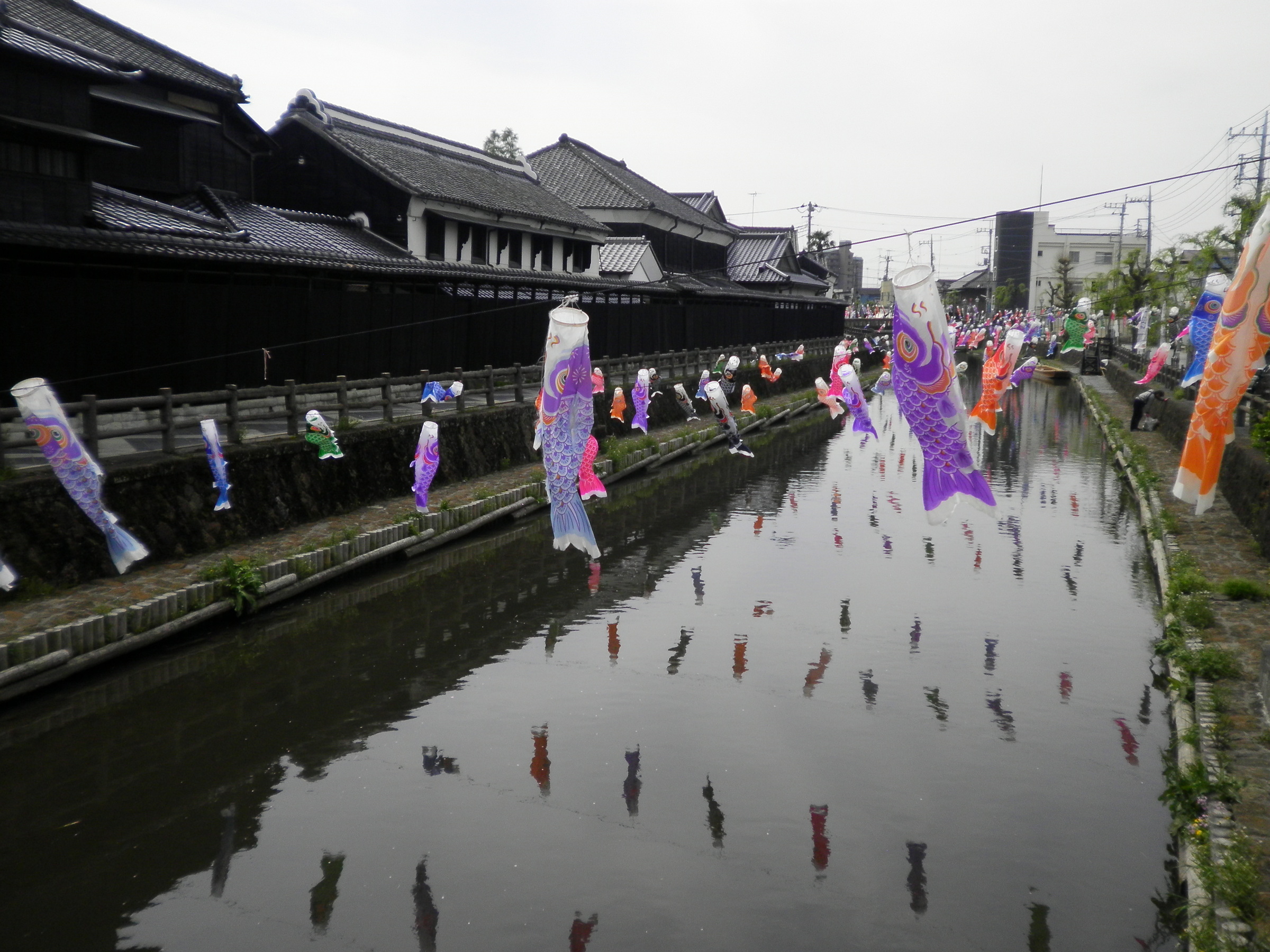 �A�g���d��@�Ȗ؉w�O�X