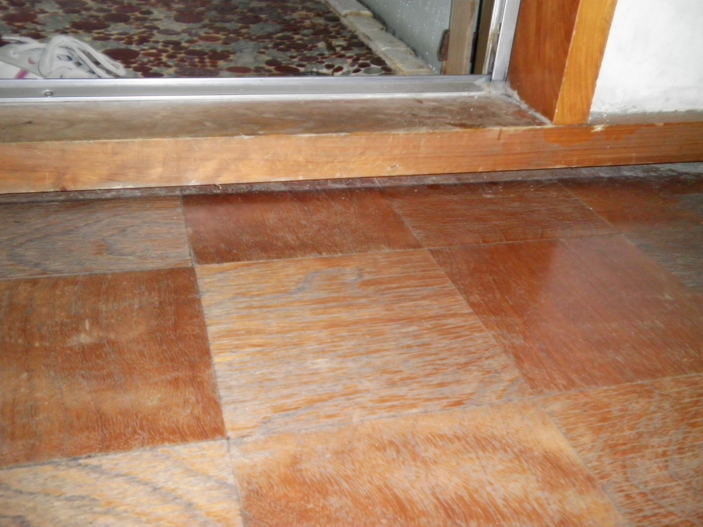 �A�g���d��@�Ȗ؉w�O�X