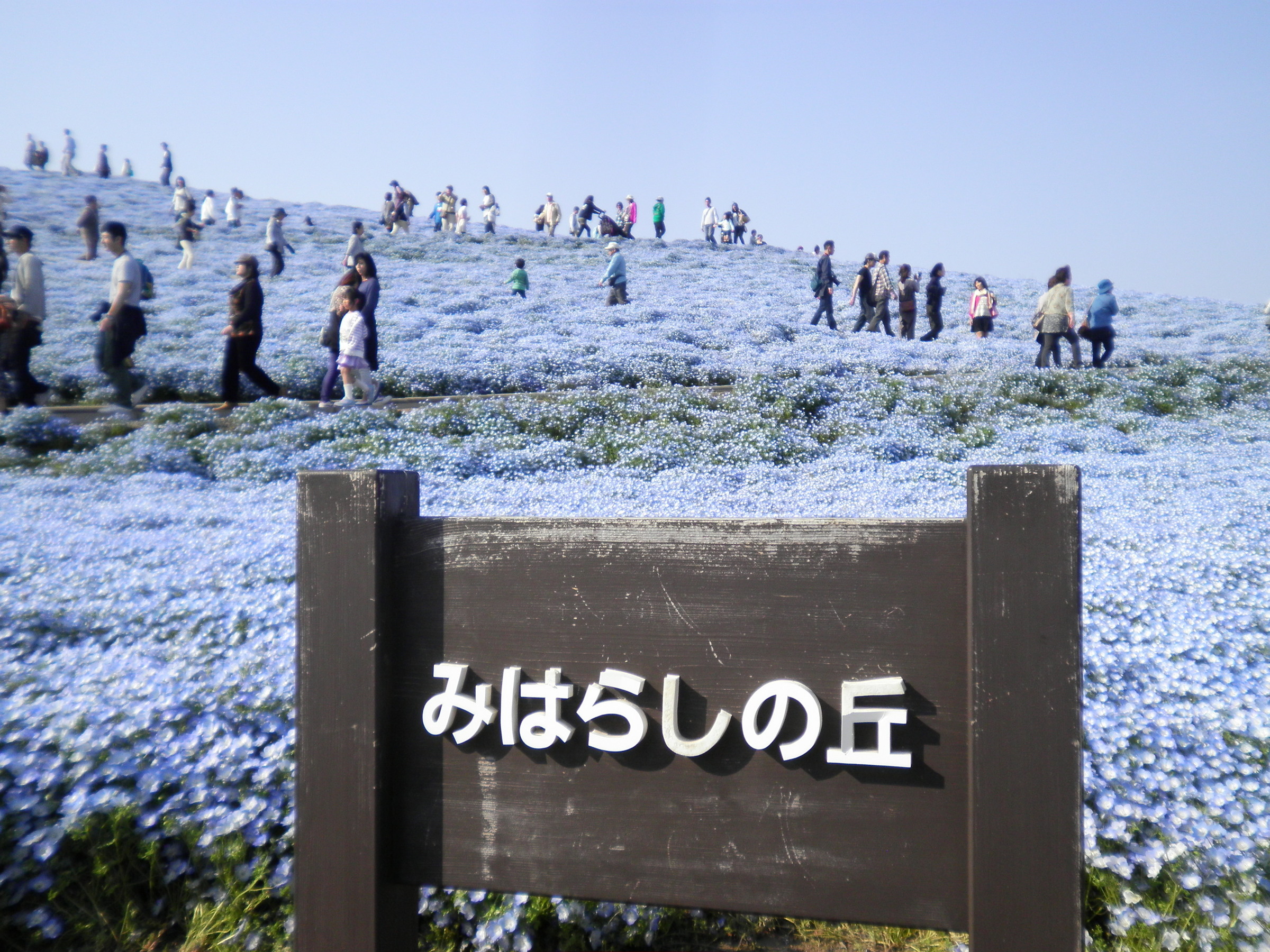 �A�g���d��@�Ȗ؉w�O�X