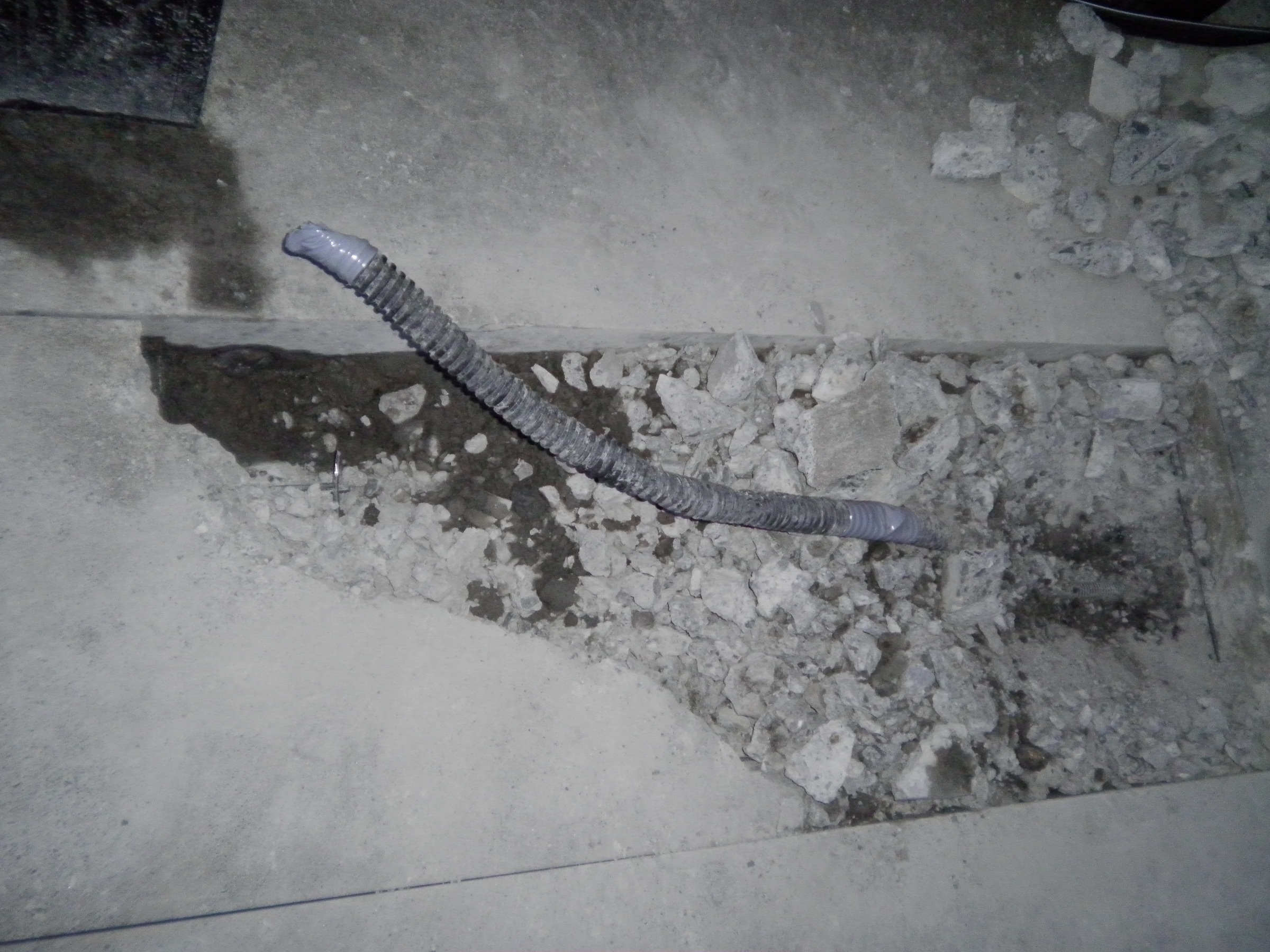 �A�g���d��@�Ȗ؉w�O�X