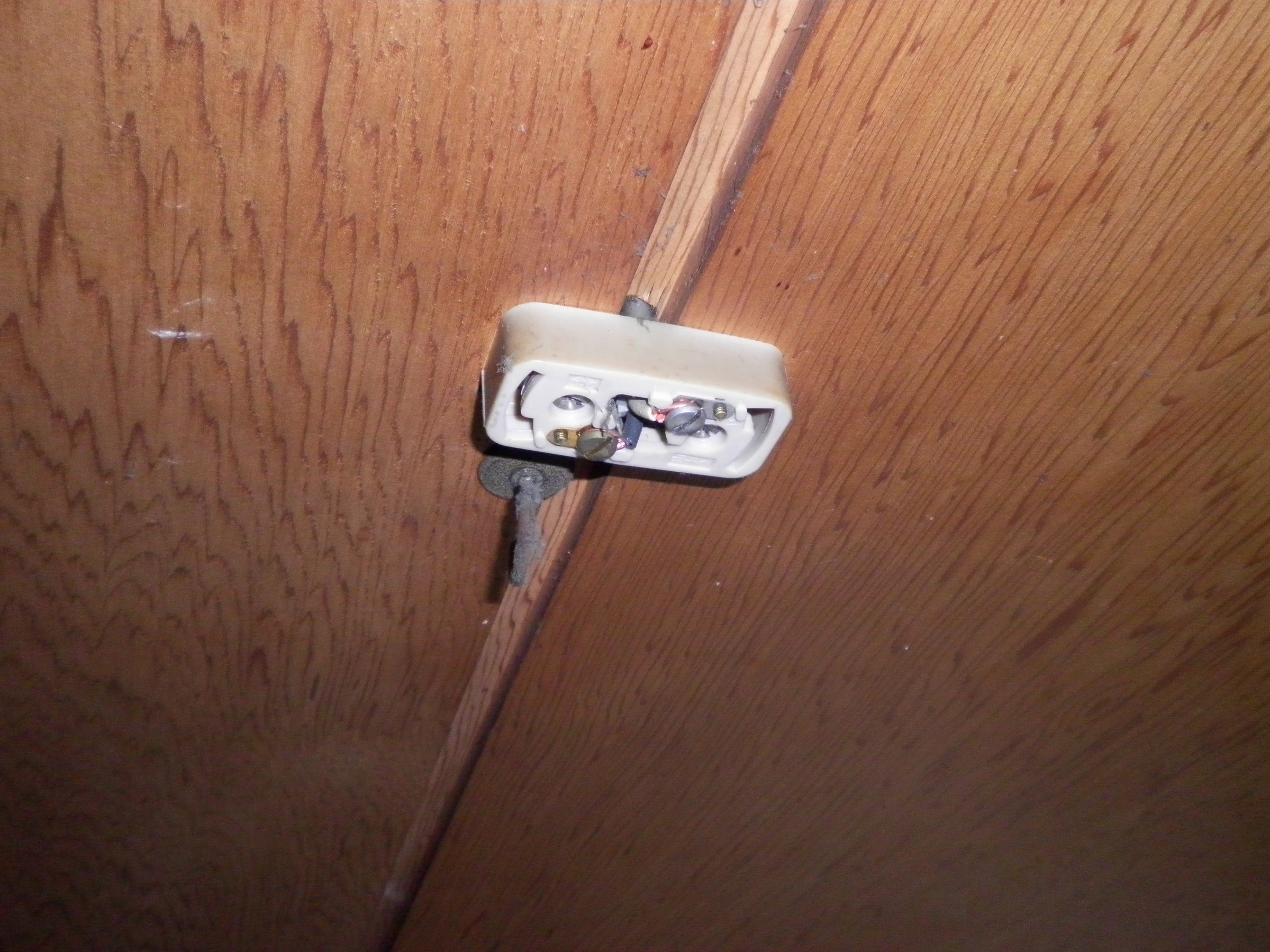 �A�g���d��@�Ȗ؉w�O�X