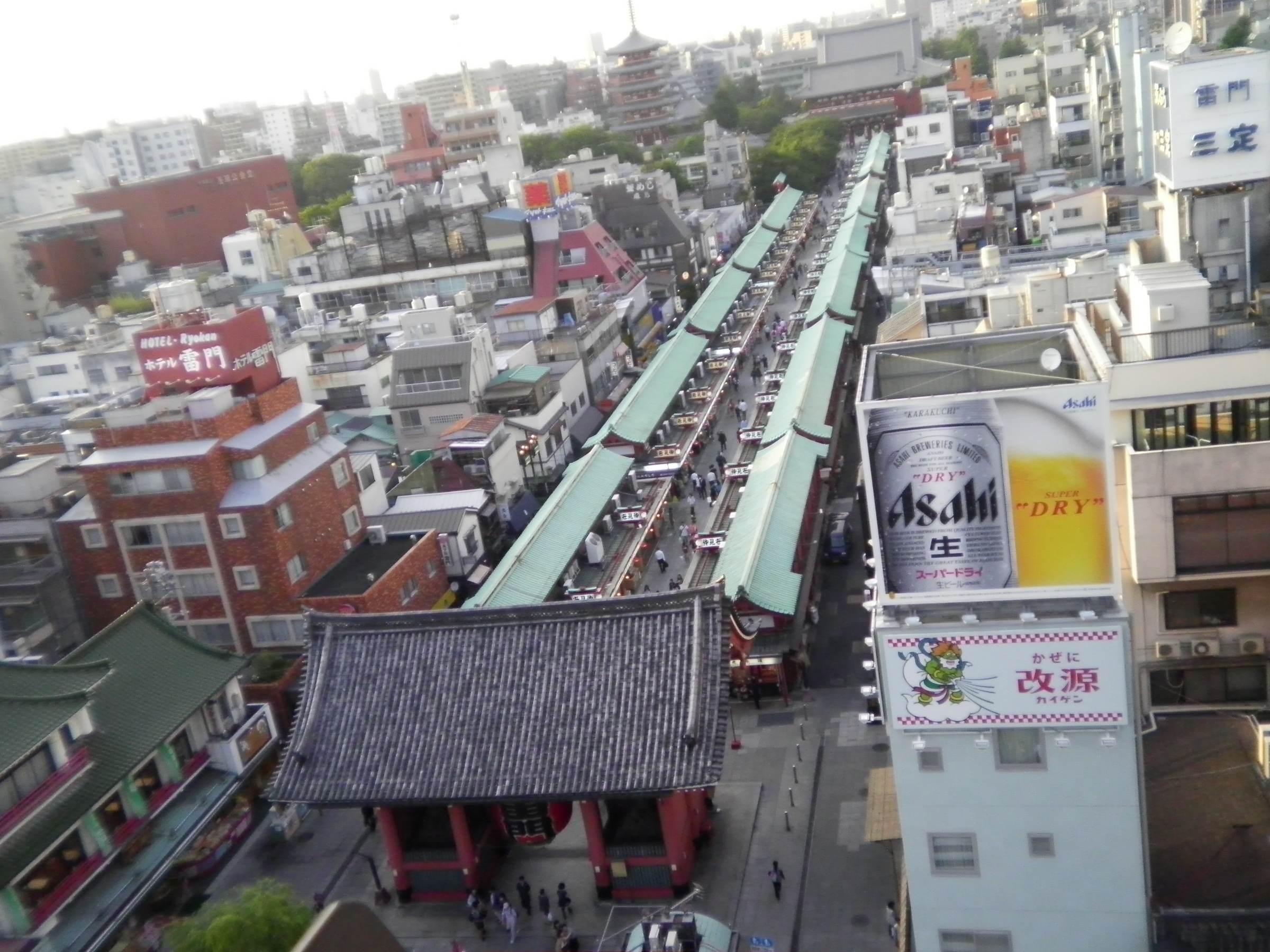 �A�g���d��@�Ȗ؉w�O�X