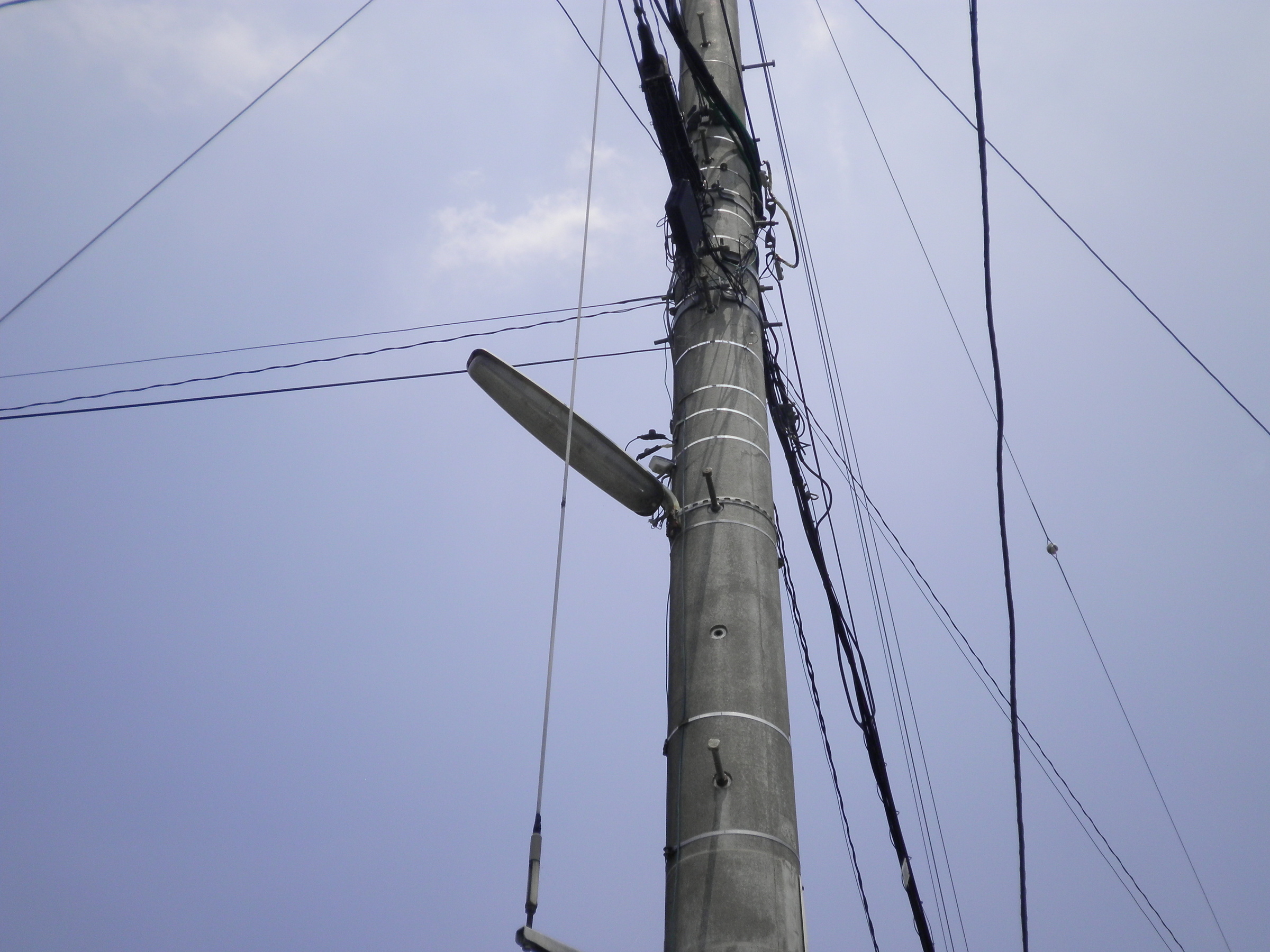 �A�g���d��@�Ȗ؉w�O�X