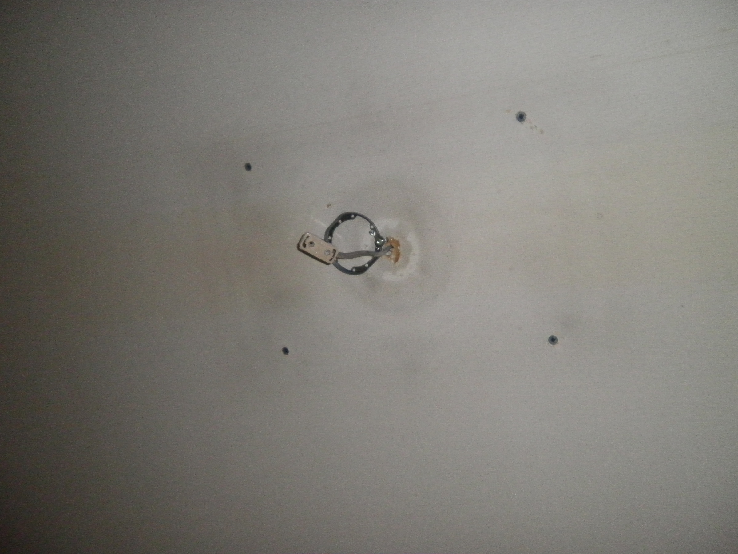 �A�g���d��@�Ȗ؉w�O�X