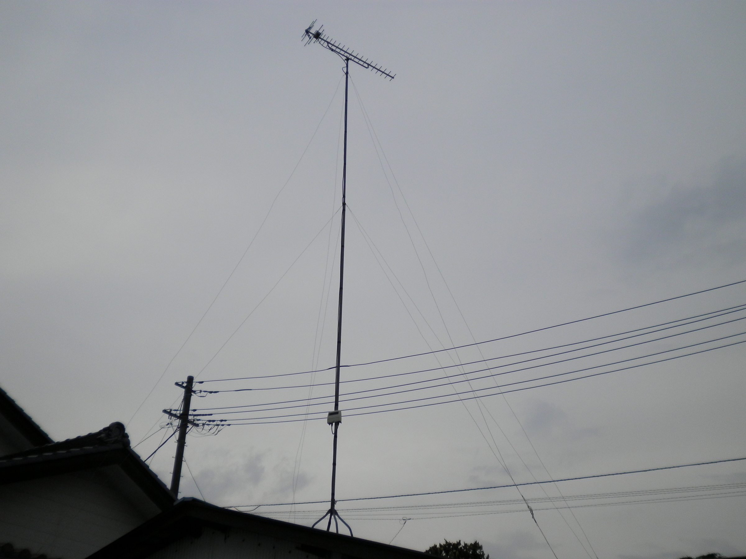 �A�g���d��@�Ȗ؉w�O�X