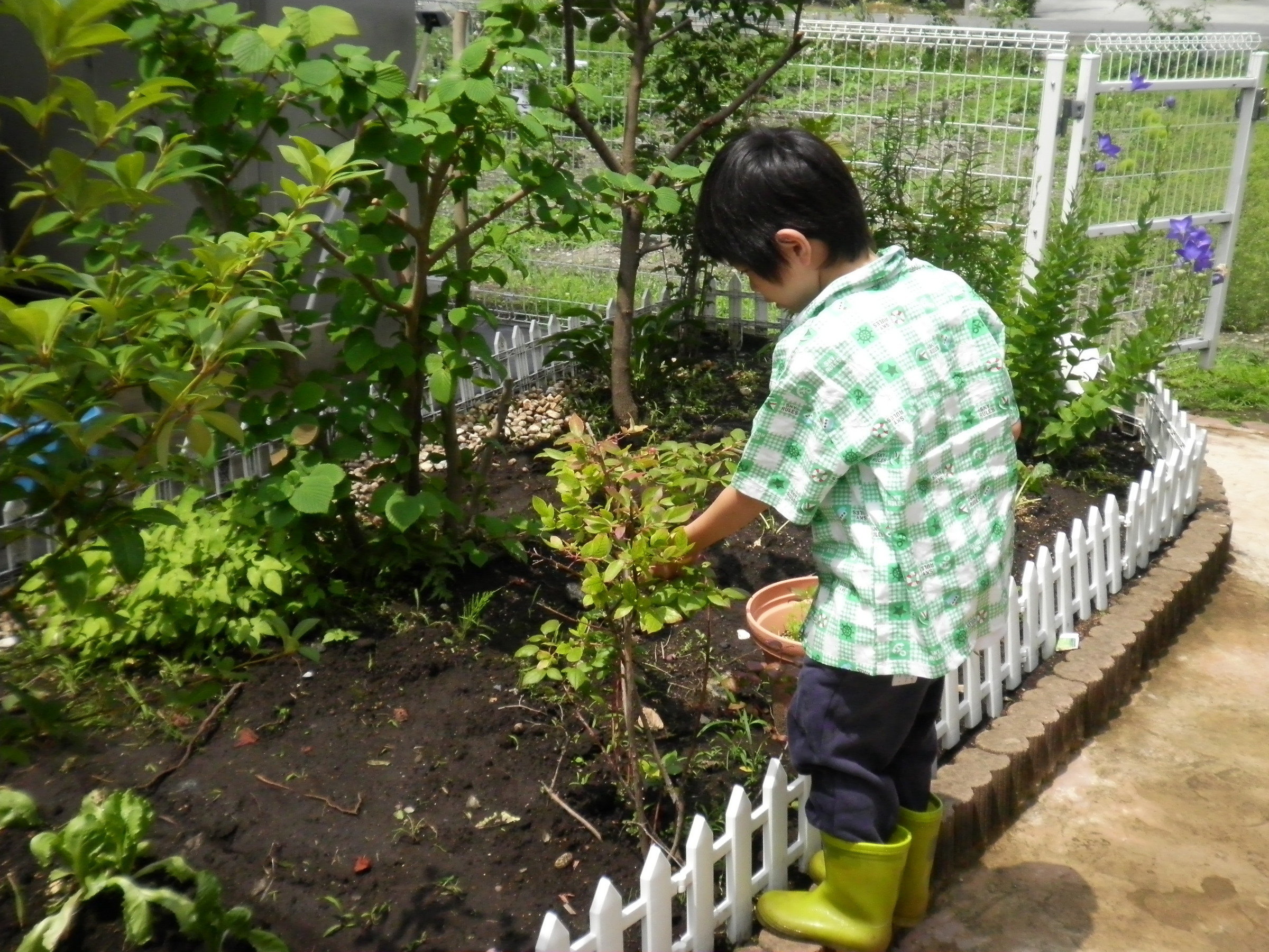 �A�g���d��@�Ȗ؉w�O�X