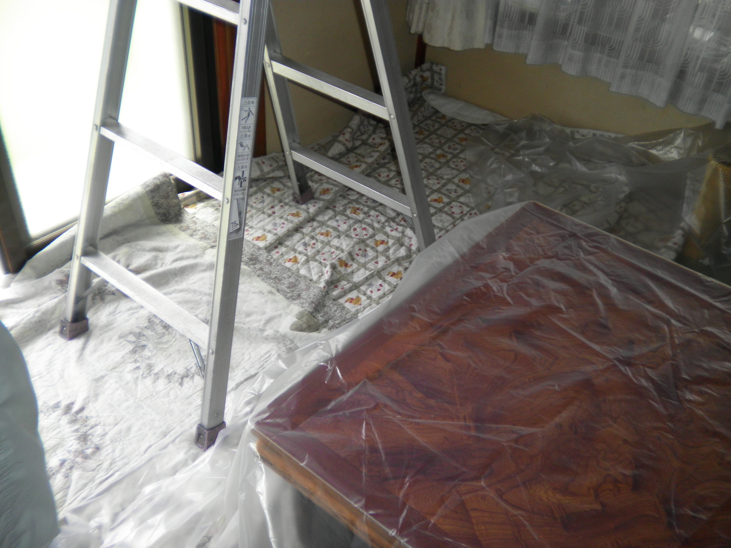 �A�g���d��@�Ȗ؉w�O�X