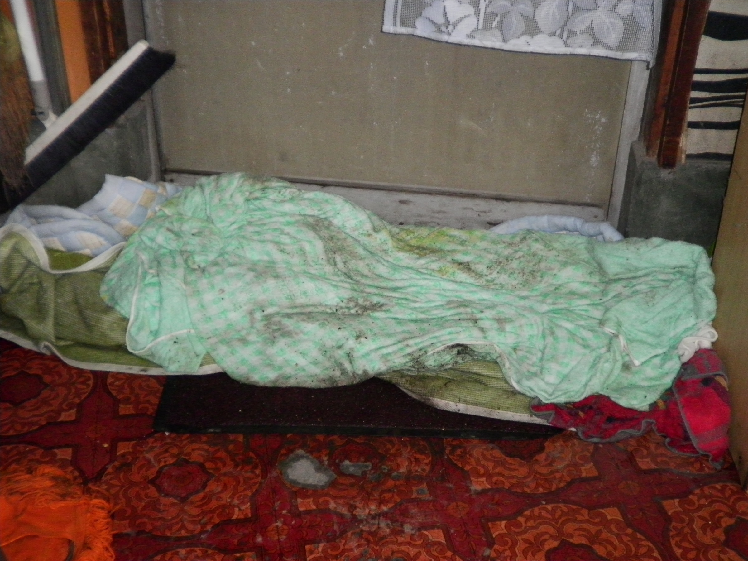 �A�g���d��@�Ȗ؉w�O�X