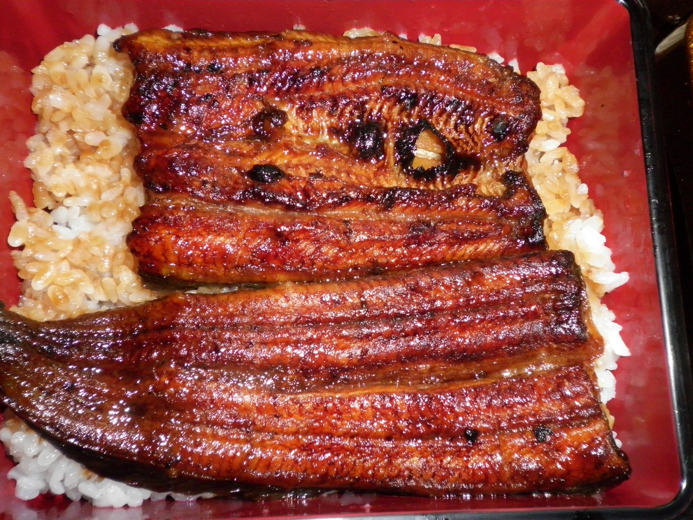 �A�g���d��@�Ȗ؉w�O�X