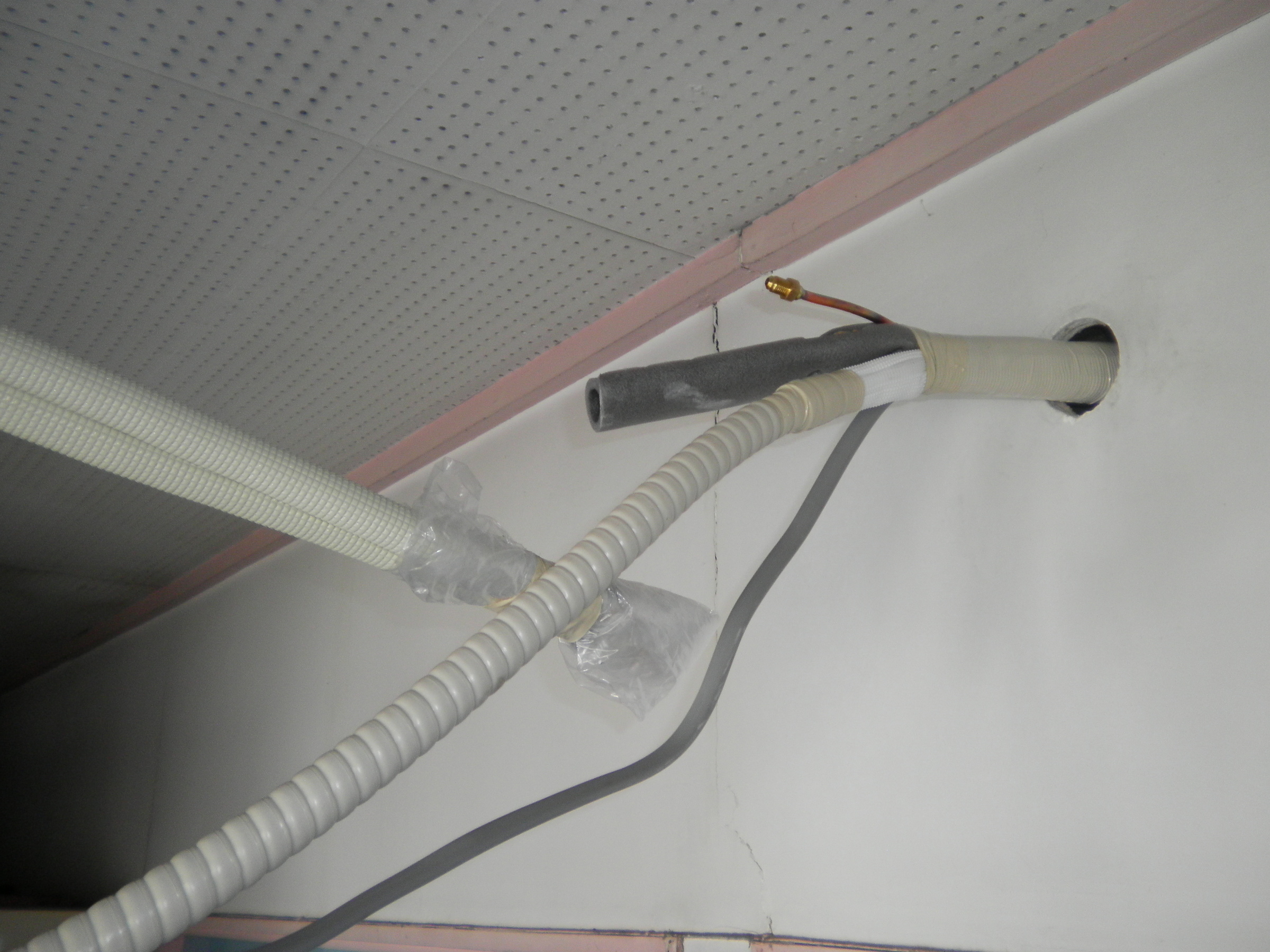 �A�g���d��@�Ȗ؉w�O�X