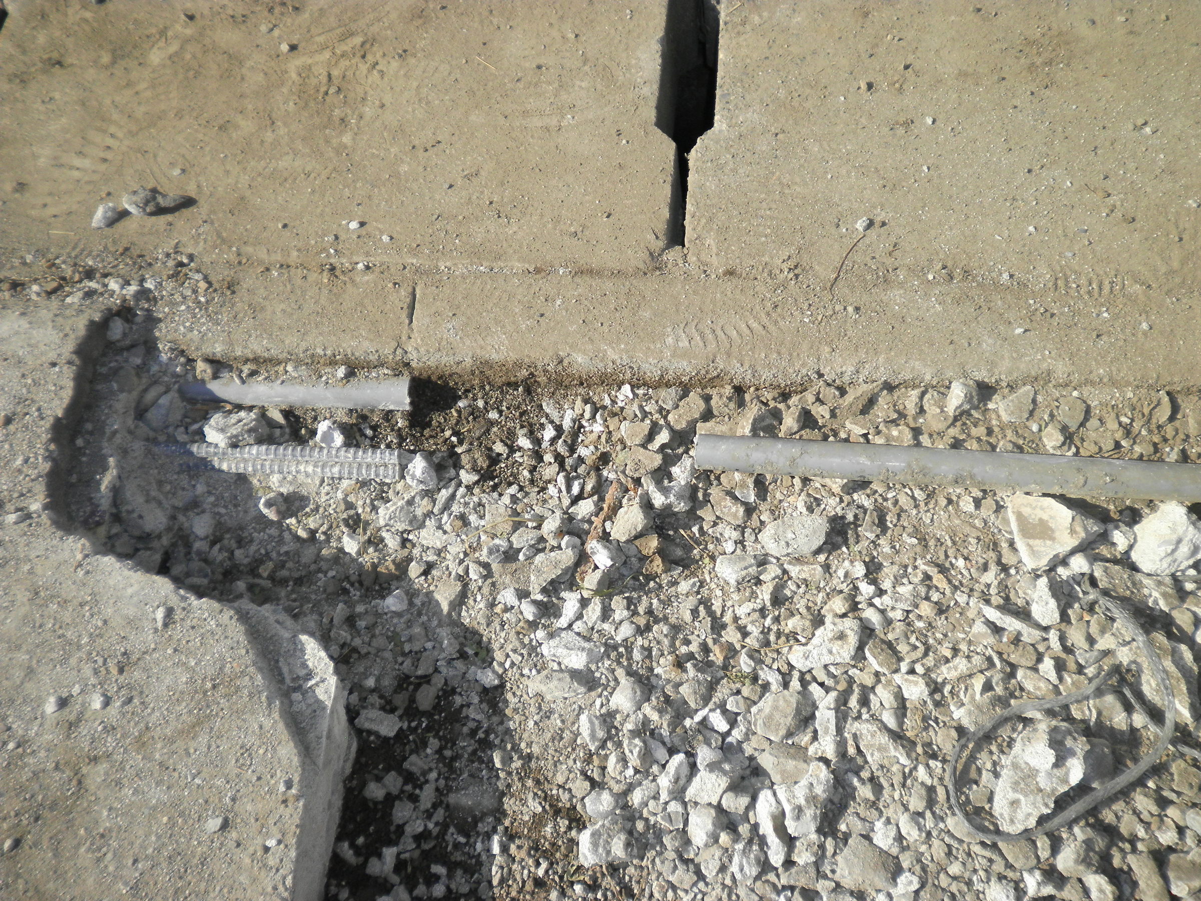 �A�g���d��@�Ȗ؉w�O�X