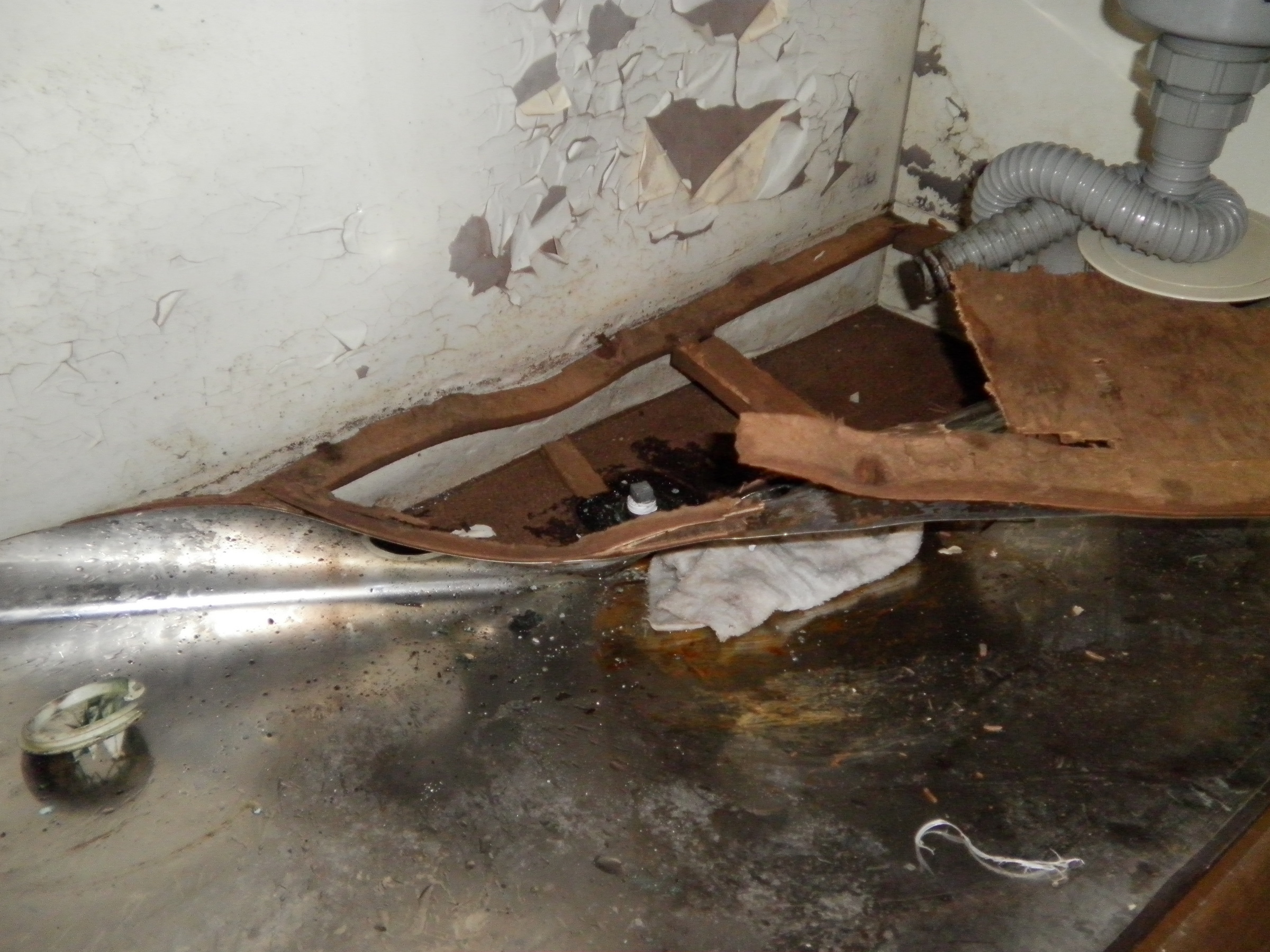 �A�g���d��@�Ȗ؉w�O�X