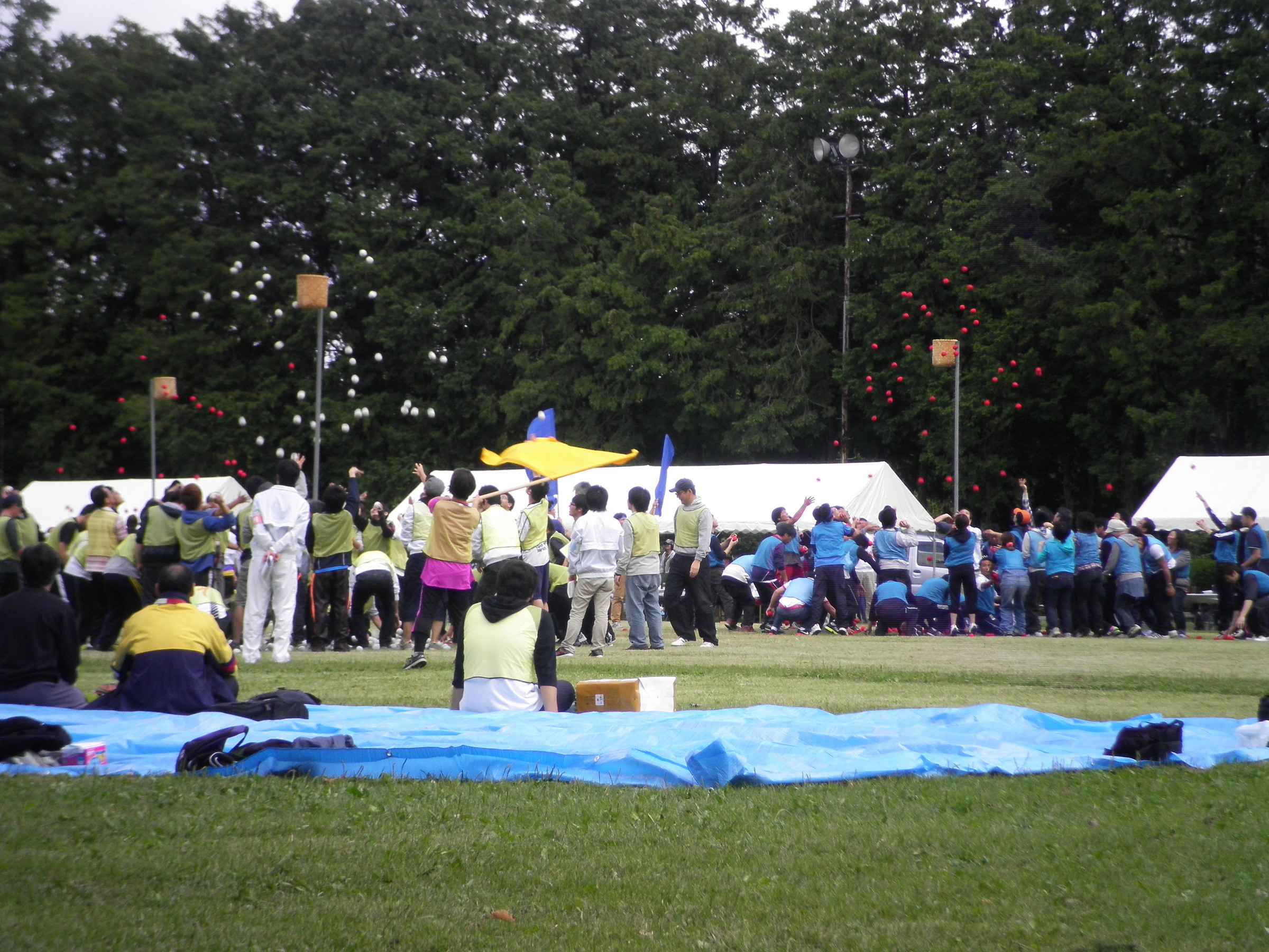 �A�g���d��@�Ȗ؉w�O�X