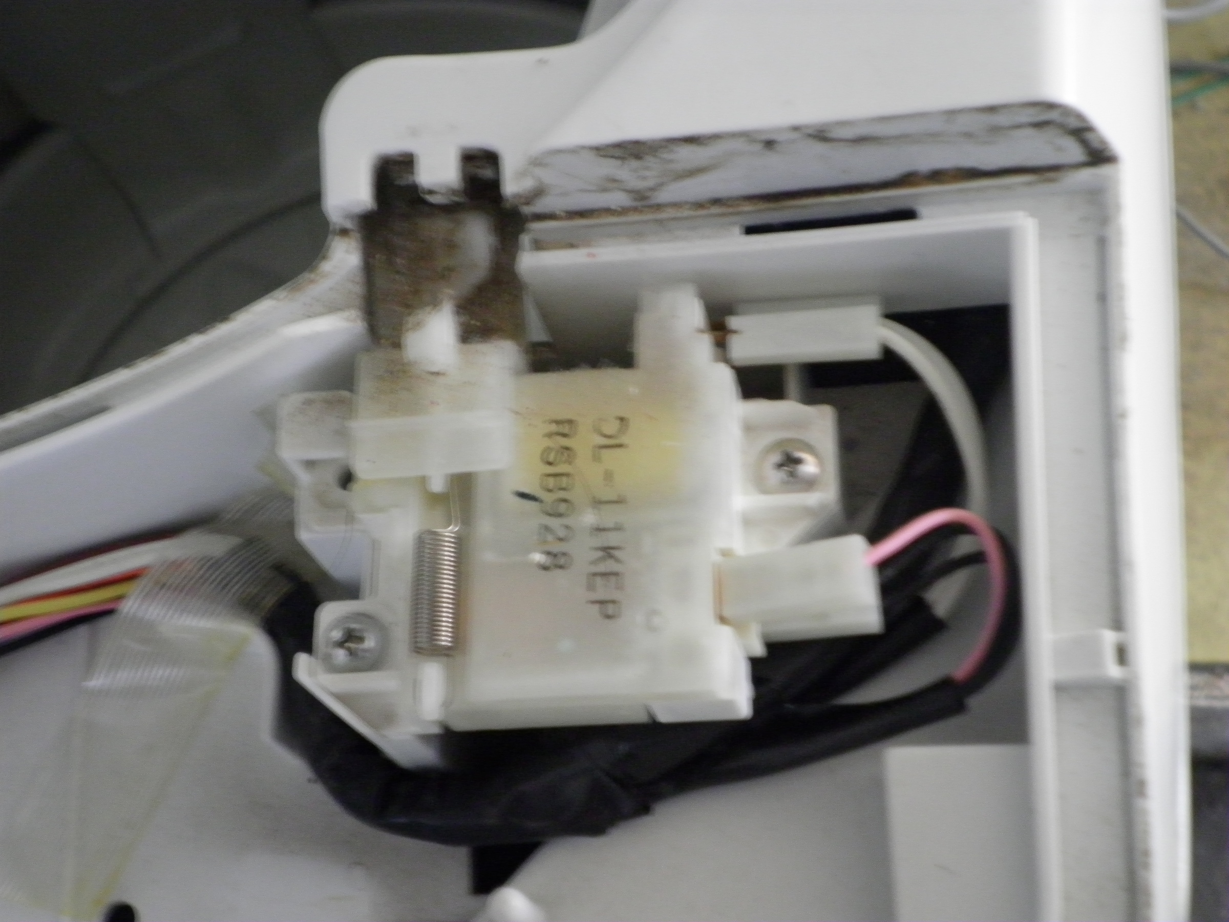 �A�g���d��@�Ȗ؉w�O�X