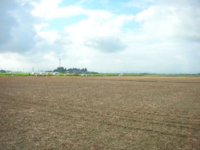 �R�X���X�������L2006