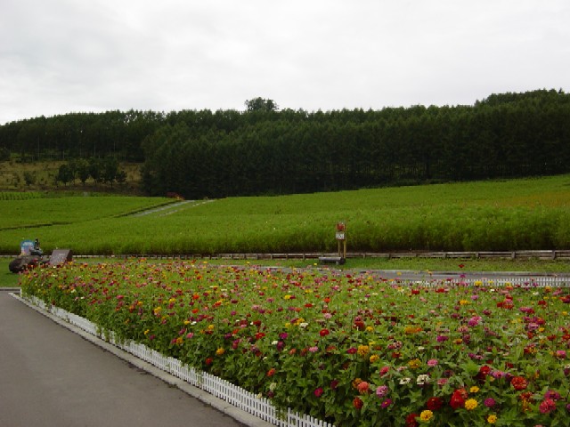 �R�X���X�������L2006