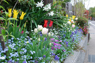 ���傢�����i���V�j�I���W�̒�