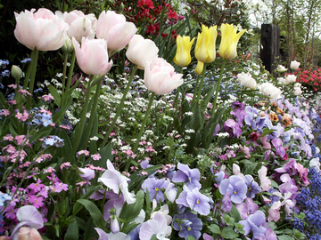 ���傢�����i���V�j�I���W�̒�