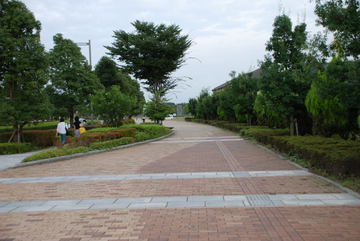 ���傢�����i���V�j�I���W�̒�