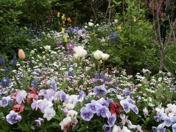 ���傢�����i���V�j�I���W�̒�